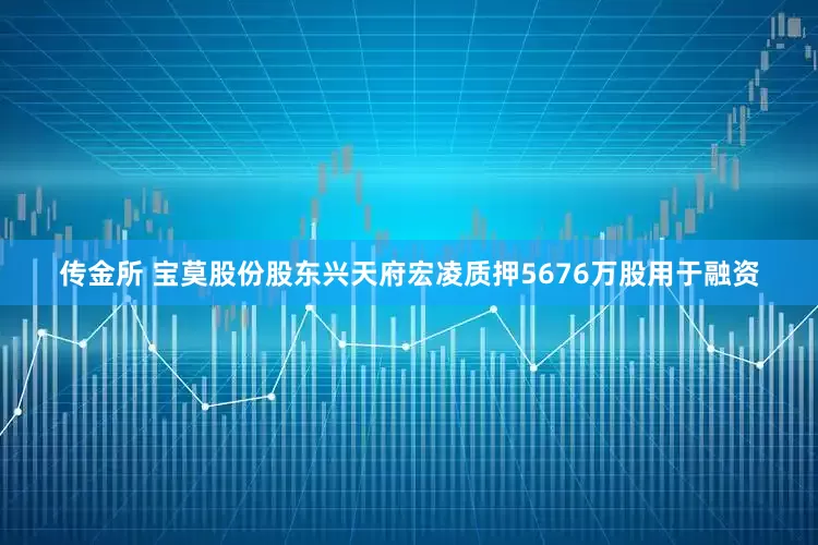 传金所 宝莫股份股东兴天府宏凌质押5676万股用于融资